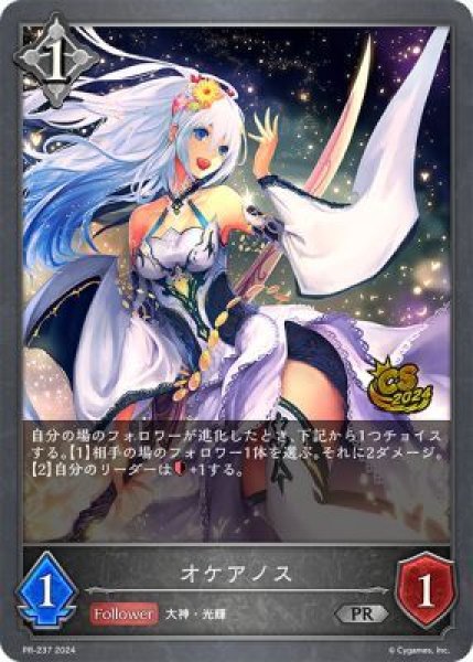 画像1: オケアノスPR/【ニュートラル】《PR-237》 (1)