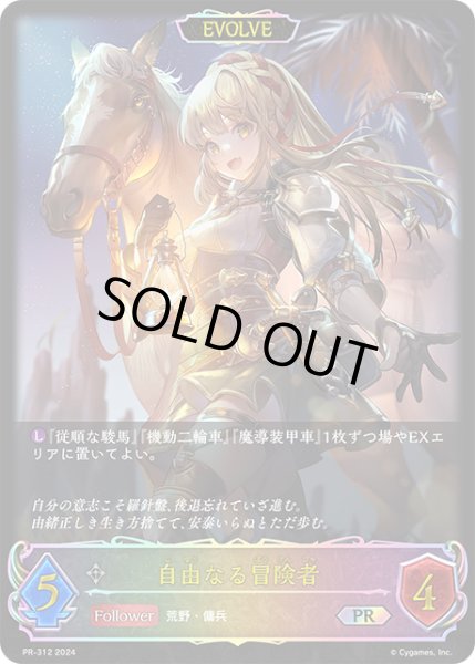 画像1: 【状態B】自由なる冒険者[EVOLVE]PR/【ニュートラル】《PR-312》 (1)