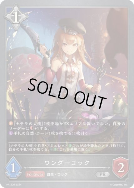 画像1: 【状態B】ワンダーコックPR/【ニュートラル】《PR-205》 (1)