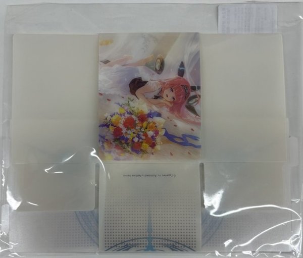 画像1: デッキケース「リーシェナ(影之詩　進化対決)」 (1)