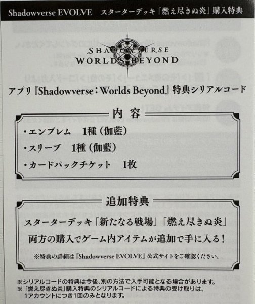 画像1: 「燃え尽きぬ炎」購入特典シリアルコード (1)