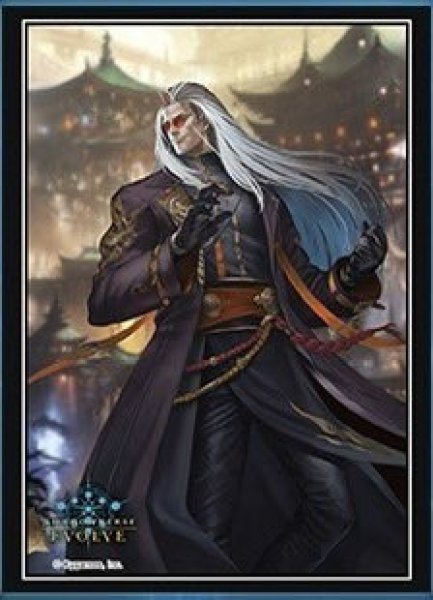 画像1: スリーブ「伽藍」 (1)