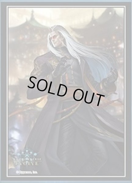 画像1: スリーブ「伽藍」 (1)