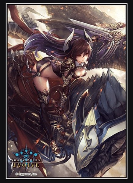 画像1: スリーブ「ダークドラグーン・フォルテ(Vol.10)」 (1)