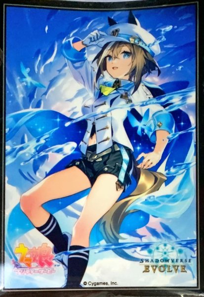 画像1: スリーブ「シュヴァルグラン」 (1)