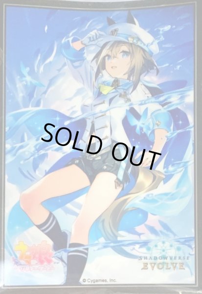 画像1: スリーブ「シュヴァルグラン」 (1)