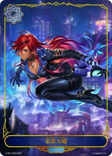 シャドウバース エボルヴ リーダー　カード 6枚セット リーダーカードセット 「Shadowverse: Worlds Beyond