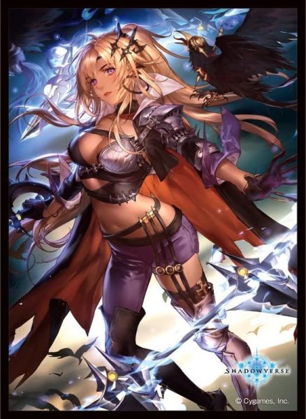 画像1: スリーブ「空絶の簒奪・オクトリス(MT1404)」(外装無し) (1)