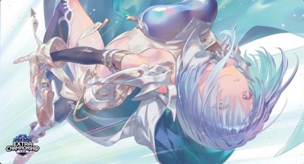 画像1: プレイマット 『ドライツェーンEXTRA CHAMPION SHIP(北海道)』 (1)