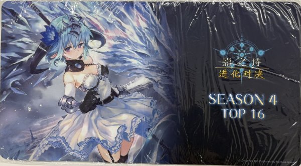 画像1: プレイマット 『銀氷のドラゴニュート・フィルレイン』影之詩 進化対決　SEASON4 TOP16 (1)