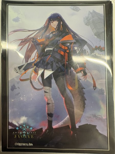 画像1: スリーブ『壊竜の六銘伝・エル』 (1)