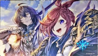 サプライ・未開封 - メルカードシャドウバースエボルヴ通販