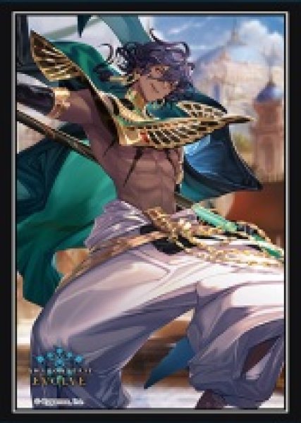 画像1: スリーブ『ラヴサイン(EXビギナー購入キャンペーン)』10枚 (1)