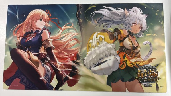 画像1: 【開封済み】プレイマット　『Shadowverse最強チーム決定戦TOP8(アリサ、ラティカ)』 (1)