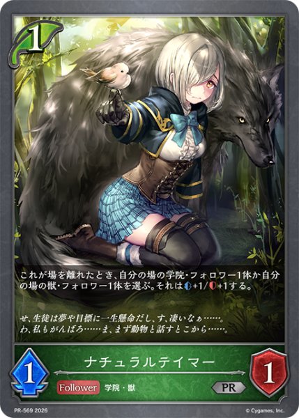 画像1: ナチュラルテイマーPR/【エルフ】《PR-569》 (1)