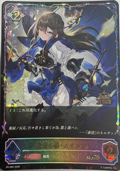 画像1: 粛清の器・メイシアPR/【ニュートラル】《PR-586》 (1)