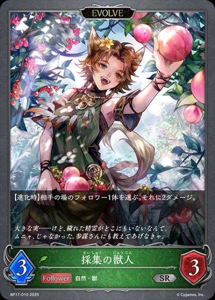 画像1: 採集の獣人[EVOLVE]SR/【エルフ】《BP17-010》 (1)