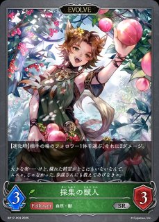 BP17「コンヴァージェント・ディスティニー」 - メルカードシャドウ