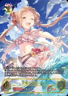 BP17「コンヴァージェント・ディスティニー」 - メルカードシャドウ