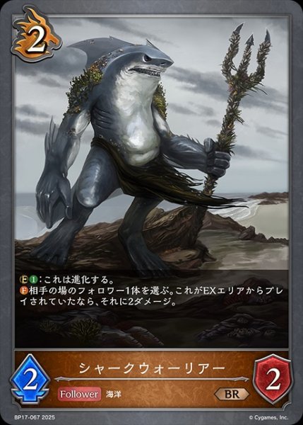 画像1: シャークウォーリアーBR/【ドラゴン】《BP17-067》 (1)