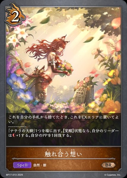 画像1: 触れ合う願いBR/【ドラゴン】《BP17-072》 (1)