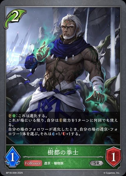 画像1: 樹都の拳士SR/【エルフ】《BP18-009》 (1)