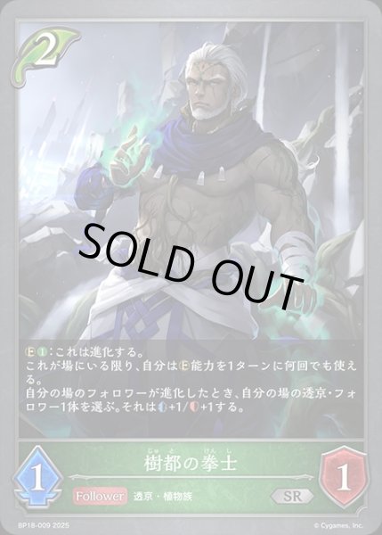 画像1: 樹都の拳士SR/【エルフ】《BP18-009》 (1)