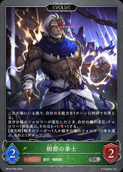 画像1: 樹都の拳士[EVOLVE]P/【エルフ】《BP18-P06》 (1)