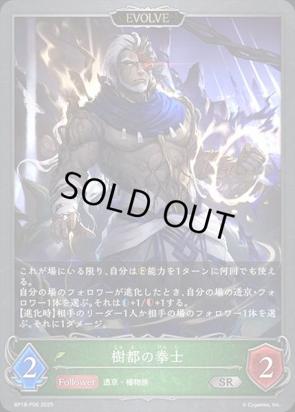 画像1: 樹都の拳士[EVOLVE]P/【エルフ】《BP18-P06》 (1)