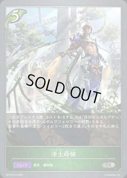 画像1: 浄土蒔植SR/【エルフ】《BP18-013》 (1)