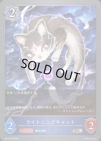 画像1: ライトニングキャットBR/【ウィッチ】《BP19-050》 (1)
