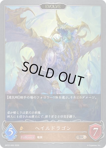 画像1: ヘイルドラゴン[EVOLVE]BR/【ドラゴン】《BP22-069》 (1)