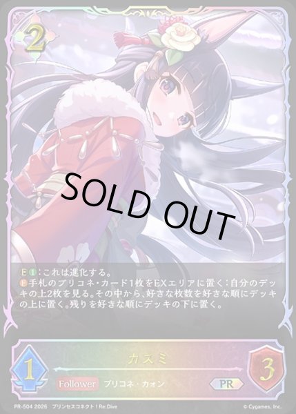 画像1: カスミPR/【ニュートラル】《PR-504》 (1)