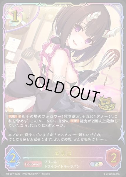 画像1: エリコPR/【ナイトメア】《PR-507》 (1)