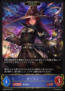 EXビギナーデッキ「ウィッチ」 - メルカードシャドウバースエボルヴ通販