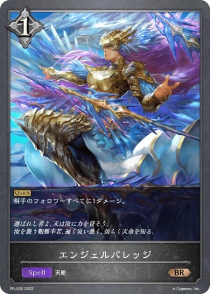 画像1: エンジェルバレッジBR/【ニュートラル】《PR-002》 (1)