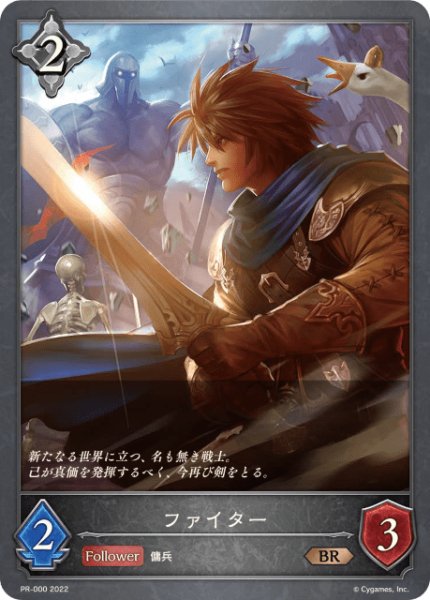 画像1: ファイターBR/【ニュートラル】《PR-000》 (1)